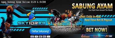 Bandar Judi Adu Ayam Live Sv388 (Sv288) Via Pulsa