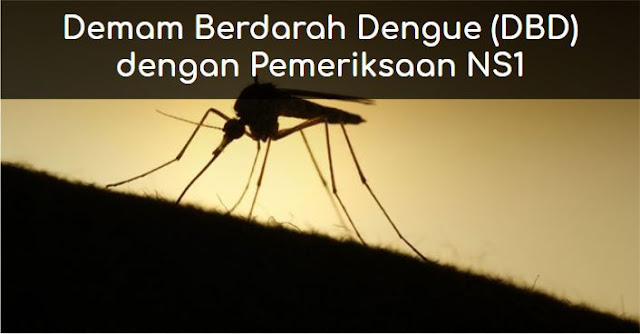 Demam Berdarah Dengue