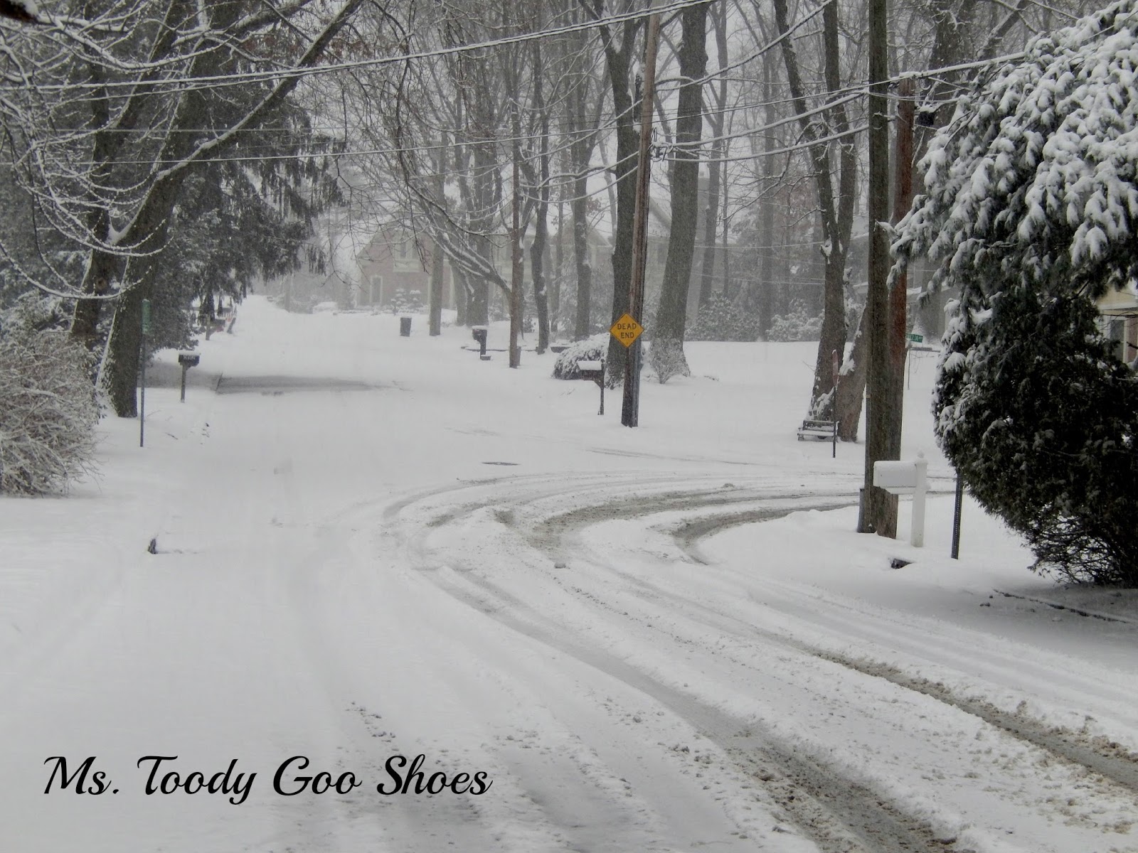 February Photo Diary --- by Ms. Toody Goo Shoes
