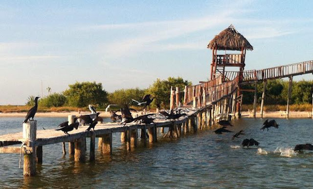 Isla Pájaros, Bacalar QuintanaRoo