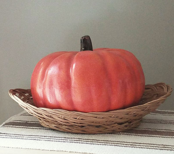 Quick and Simple Fall Decor