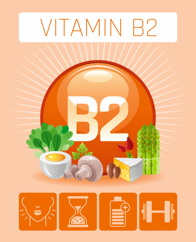 What you should know about Vitamin B2 (Riboflavin)?