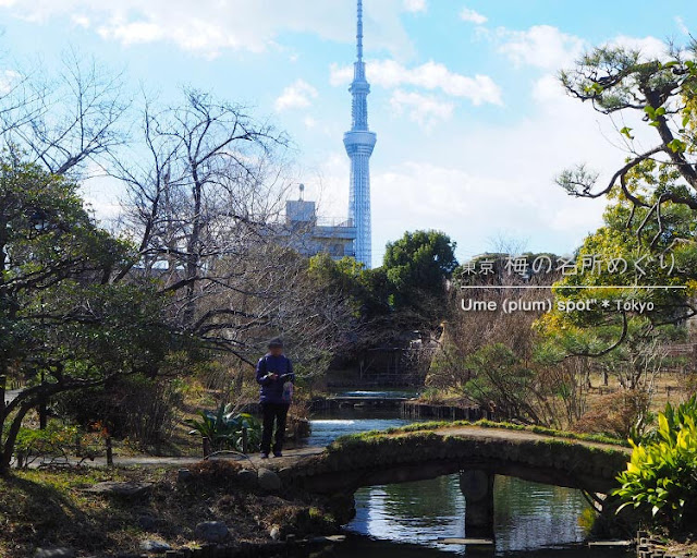 向島百花園