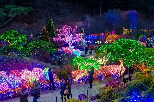 Đến Hàn Quốc vào dịp Giáng sinh mà bỏ lỡ những lễ hội ánh sáng thì thật đáng tiếc. Các lễ hội ánh sáng diễn ra ở nhiều nơi trên khắp đất nước, đặc biệt là các thành phố lớn như thủ đô Seoul, Busan,…  Bạn có thể tìm đến công viên Everland, khu Myeongdong, con phố Apgujeong Rodeo với những con đường được lắp đèn sáng lóa, hay nghệ thuật ánh sáng, tạo hình từ những dây bóng sáng nhấp nháy.