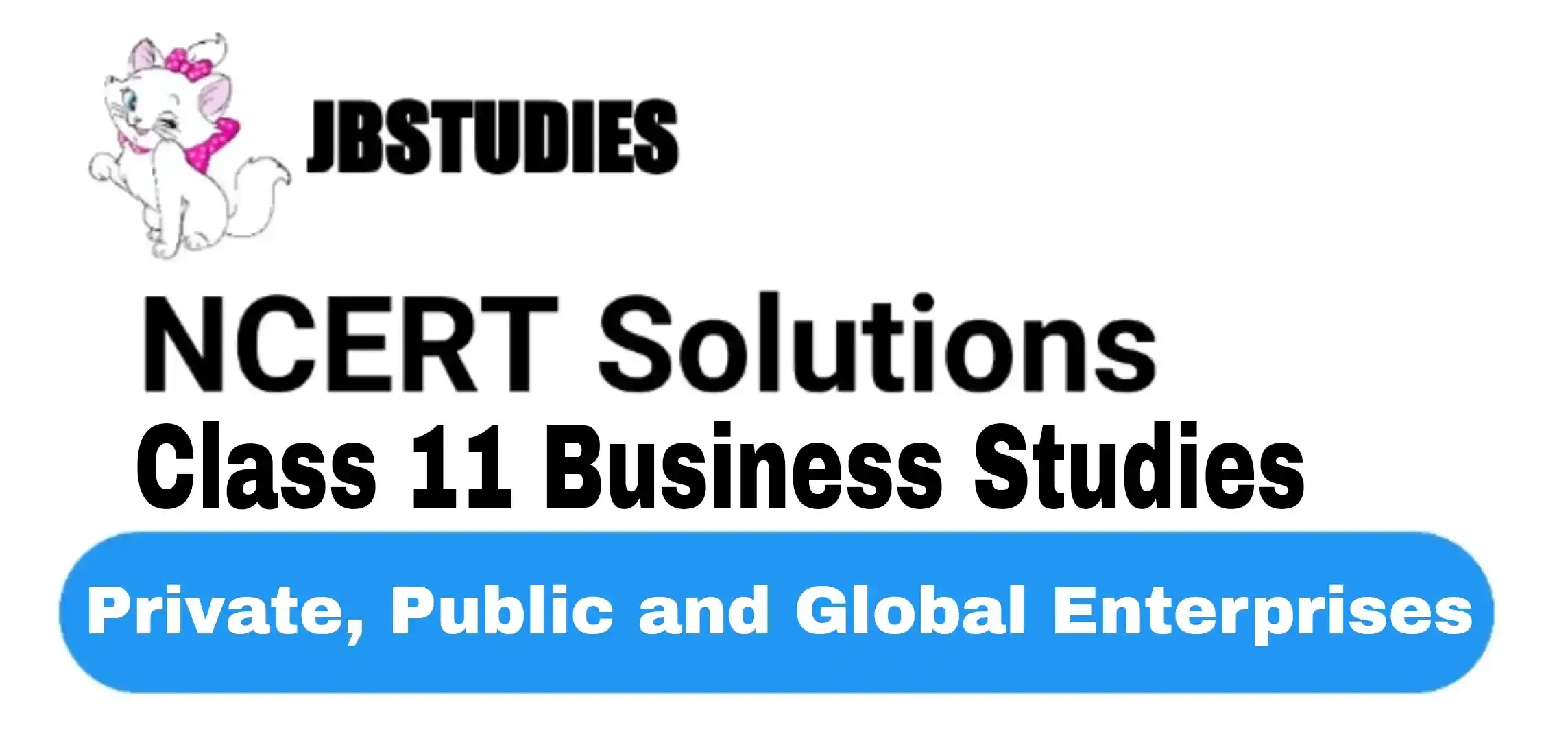Solutions Class 11 Business Studies Chapter -3 (Private, Public and Global Enterprises)