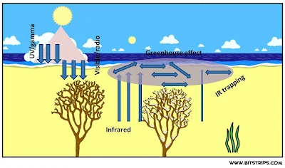 The Greenhouse Effect