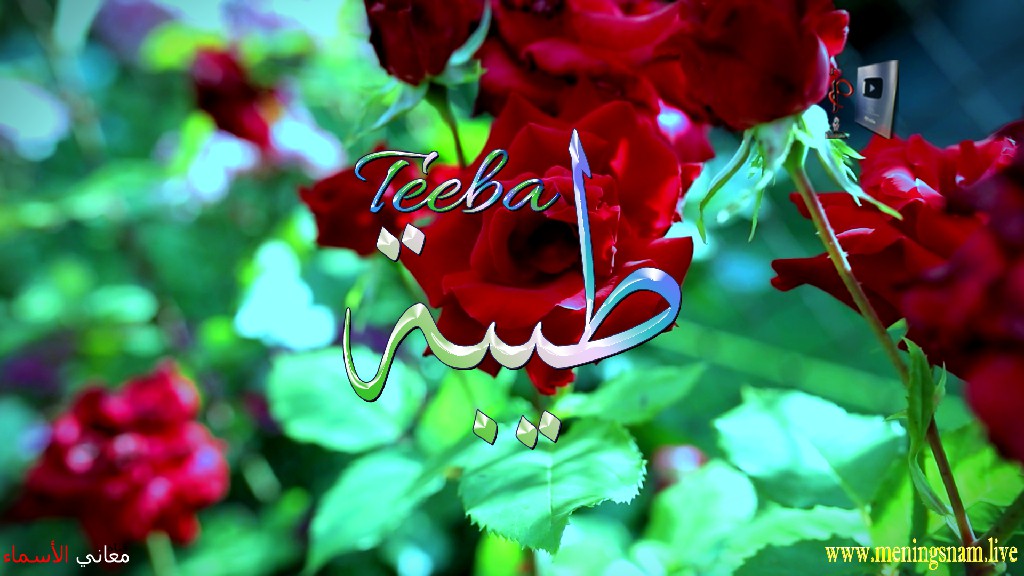 معنى اسم, طيبة, وصفات, حاملة, هذا الاسم, Teeba,