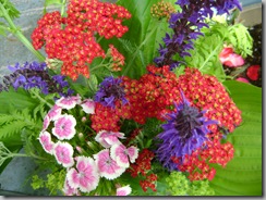 garden 007