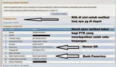 Cek SK Tunjangan Fungsional Guru Non PNS 2016