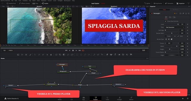 demo di un diagramma creato con fusion di davinci resolve