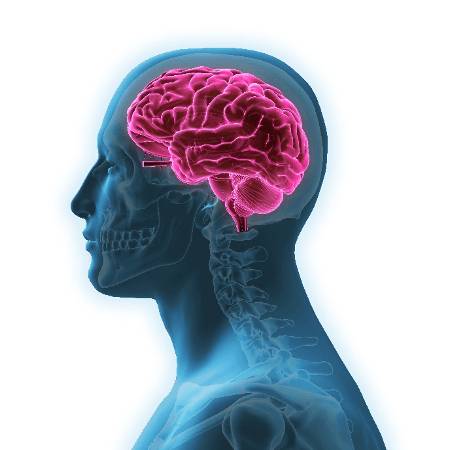what is neurological conditions?
