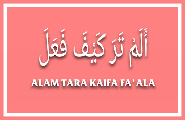 Alam tara kaifa fa'ala artinya