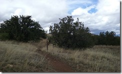 20160410_150951