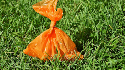 plastic orange dog poop bag on grass
