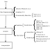 METODE DATA MINING UNTUK RECOMMENDER SYSTEMs