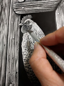 13-Working-on-the-Rooster-Cathy-Sheeter-Hyper-Realistic-Scratchboard-Wild-Animal-Drawings-www-designstack-co