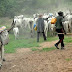 Yoruba Leaders Rejects Federal Government Proposal To Establish Cattle Colonies Across The Nation