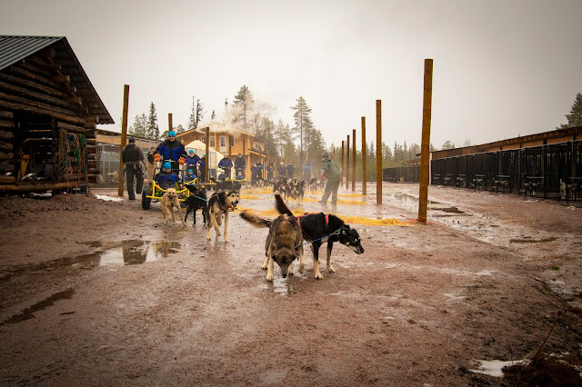 Bearhill husky-Slitta trainata dai cani-Rovaniemi