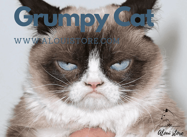 Grumpy Cat