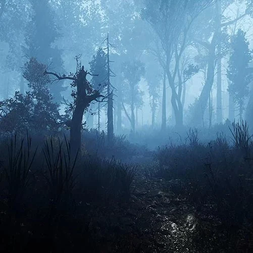 Land of Pain Forest Rain Wallpaper Engine