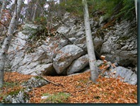 DSCN1869