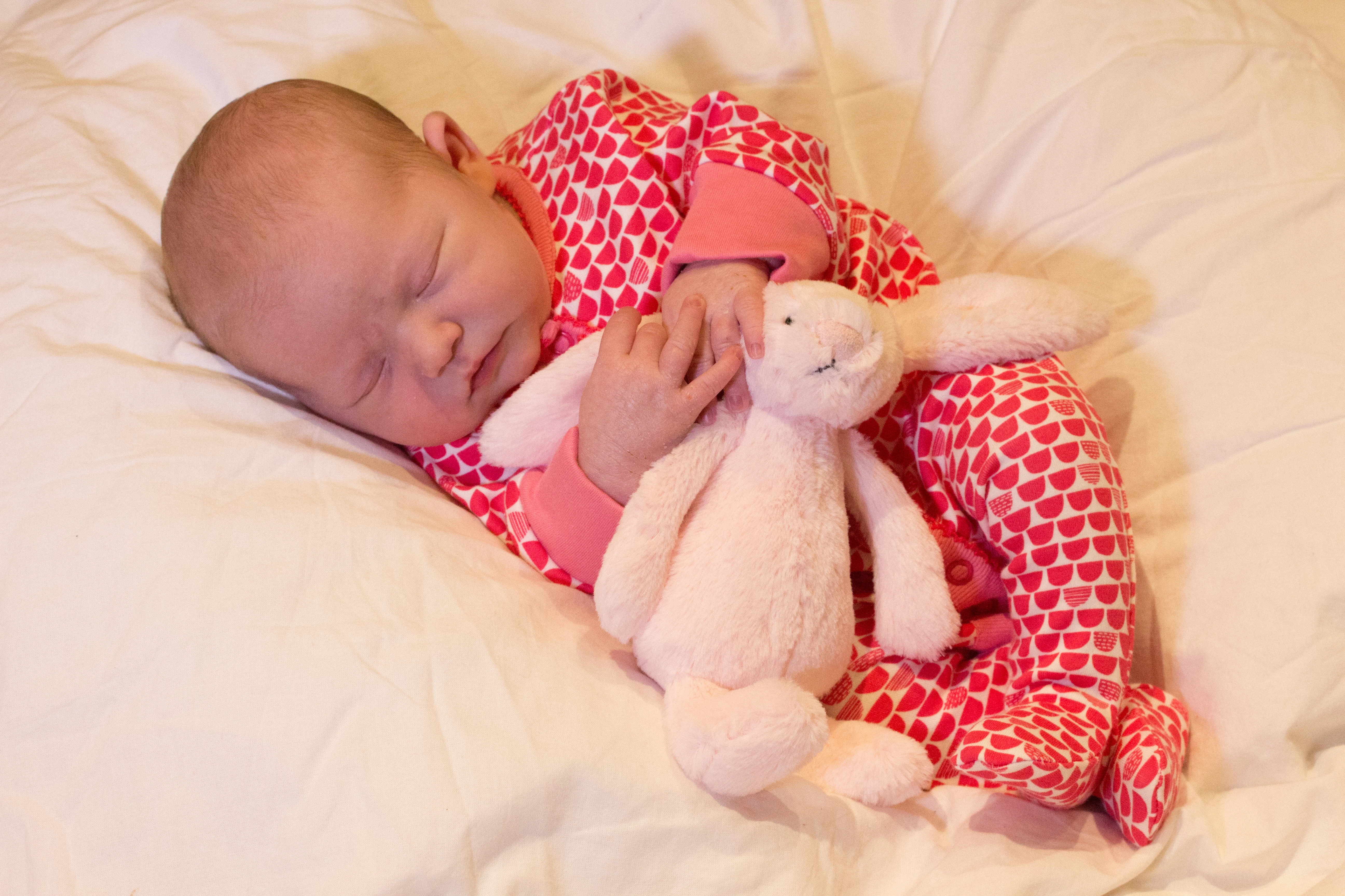 A newborn baby wearing a pink sleepsuit and holding the ear of a pink jellycat rabbit