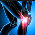 Biomechanics of the Lateral Side of the Knee