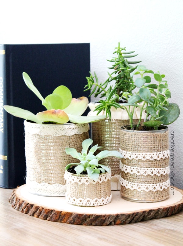 Rustic succulent planters made from recycled cans, burlap and lace