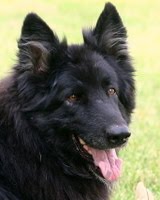 Kobie-Girl  2001-2011