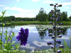 DSC04037