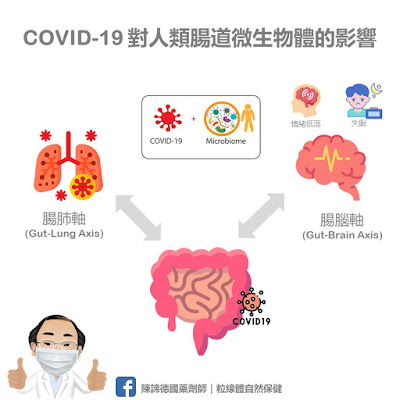 對抗新冠肺炎，從腸道保健做起_COVID-19 對人類腸道微生物體的影響