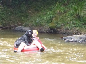 Pets adventure 16 (235)