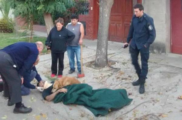 Σκύλος δεν αφήνει τον ιδιοκτήτη του, που τραυματίστηκε από πτώση!