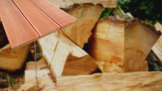 karakteristik kayu rengas