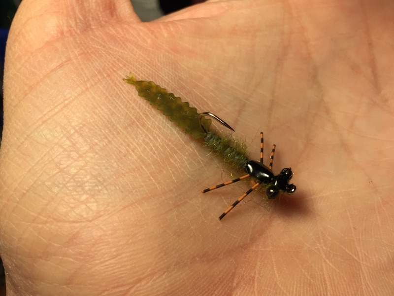 Bobcat Hollow Fly Fishing/Tying: New Damsel Pattern (and Body Technique)