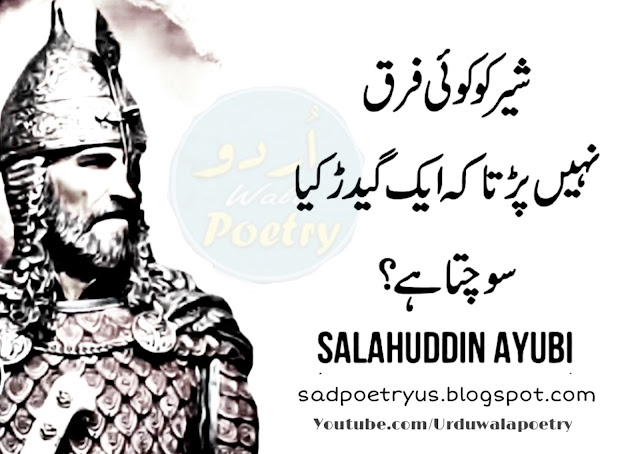 Sher ko koi fark nahi parta k sultan salahuddin ayubi