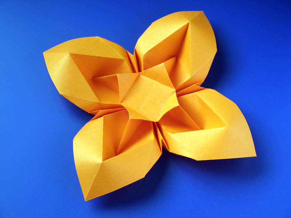 Origami foto Fiore bombato 3 - Curved flower 3 by Francesco Guarnieri