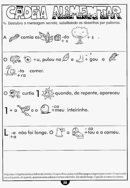 Atividades de ciências cadeia alimentar