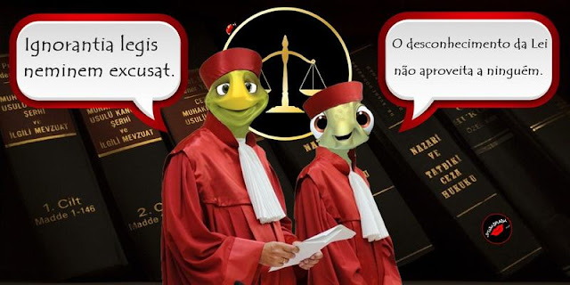 Temas em alta na advocacia