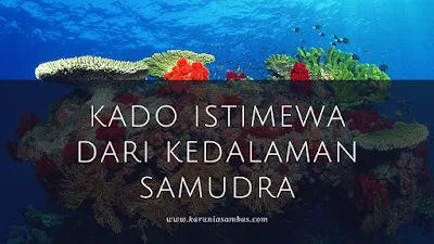 Cerpen Misteri Kado Istimewa dari Kedalaman Samudra