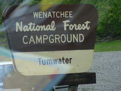 Wenatchee National Forest