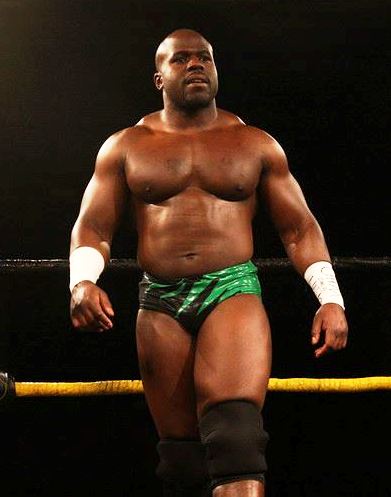 APOLLO CREWS GORILLA VIDEODOWNLOAD