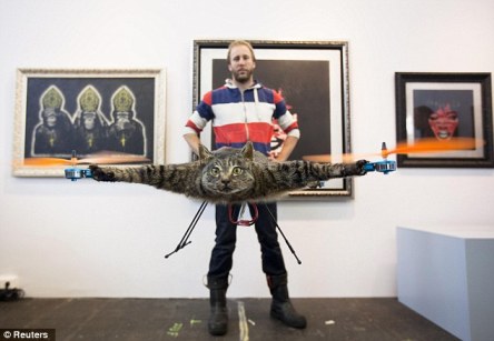 Orvillecopter kucing tterbang unik
