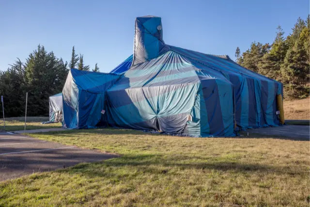 tenting-for-termite-treatment