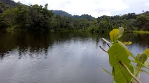  TEMPAT WISATA DI LAMPUNG TENGAH GUNUNG SUGIH TERBARU YANG WAJIB DIKUNJUNGI 19 TEMPAT WISATA DI LAMPUNG TENGAH GUNUNG SUGIH TERBARU YANG WAJIB DIKUNJUNGI