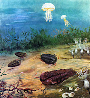 Cambrian explosion of Life