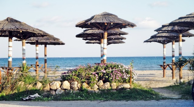 Μπάνιο με δικαιώματα - Πώς να ελέγχεις τις παραλίες με το κινητό σου