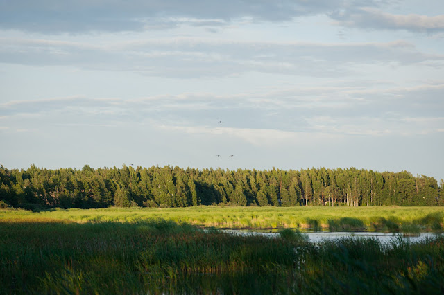 Salminlahden alue on valuma-alueeltaan pienehkön Nummenjoen suisto ja runsaat viisi kilometriä pitkän merenlahden perukka.
