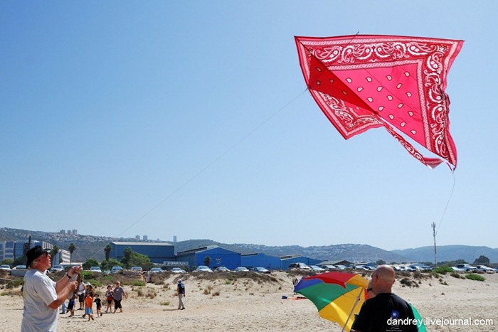 japanese-kite-festival (8)