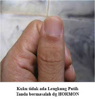 analisa telapak tangan